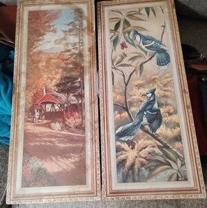 Framed Nature Art Prints